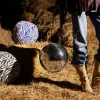 Clearance Byon Anima kudde L 40x60 cm Zebra-svart