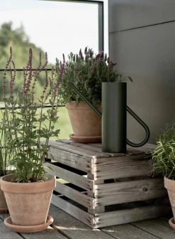 Stelton Bloom vattenkanna 2 liter Pine