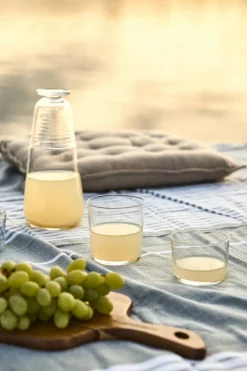 Online Scandi Living Day to Day dricksglas 22 cl 6-pack