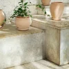 Bergs Potter Delphi kruka med fat 2 delar Rosa Ø24 cm low