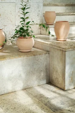 Bergs Potter Delphi kruka med fat 2 delar Rosa Ø24 cm low