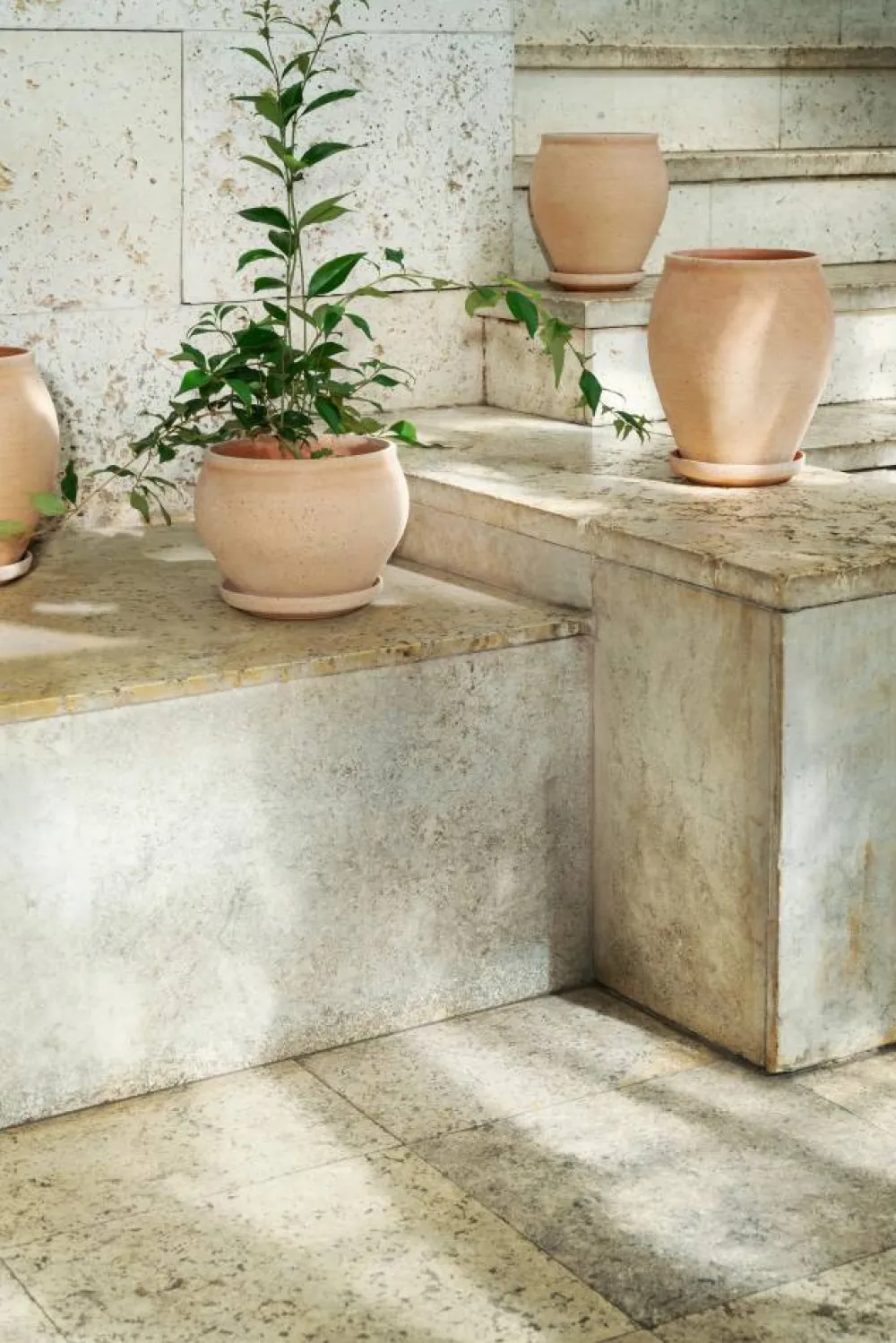 Bergs Potter Delphi kruka med fat 2 delar Rosa Ø24 cm low