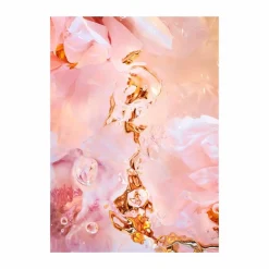 Outlet Paper Collective Flora Aquatica 02 poster 70x100 cm
