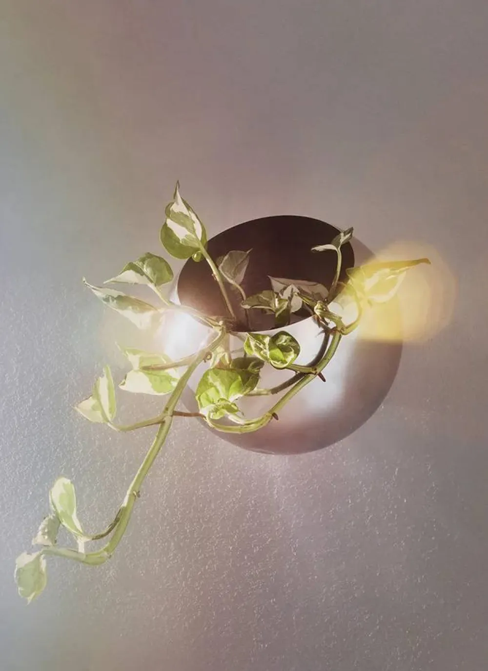 Best AYTM Globe kruka vägg Ø17 cm Silver