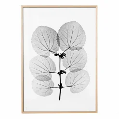 Fine Little Day Katsura poster 70x100 cm