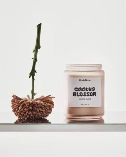 Discount Kosta Boda Mind doftljus Cactus Blossom 550 g