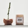 Kosta Boda Mind doftljus Cactus Blossom 330 g