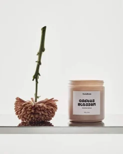 Kosta Boda Mind doftljus Cactus Blossom 330 g