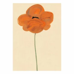 Paper Collective Orange Vallmo poster 50x70 cm