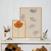 Paper Collective Orange Vallmo poster 30x40 cm