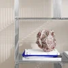 Montana Panton Wire Single hylla 34 8x34 8x34 8 cm Chrome