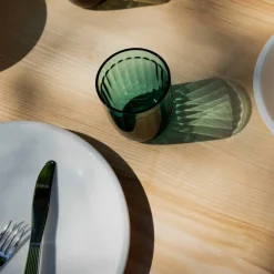 New Iittala Scandia matkniv Rostfritt stål