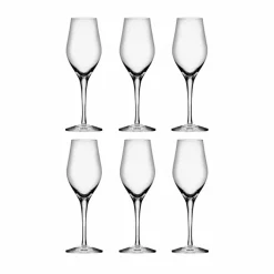 Orrefors Sense champagneglas 25 5 cl 6-pack Klar