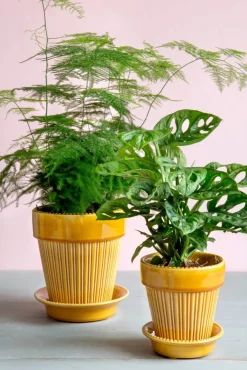 Bergs Potter Simona kruka glaserad Ø12 cm Yellow