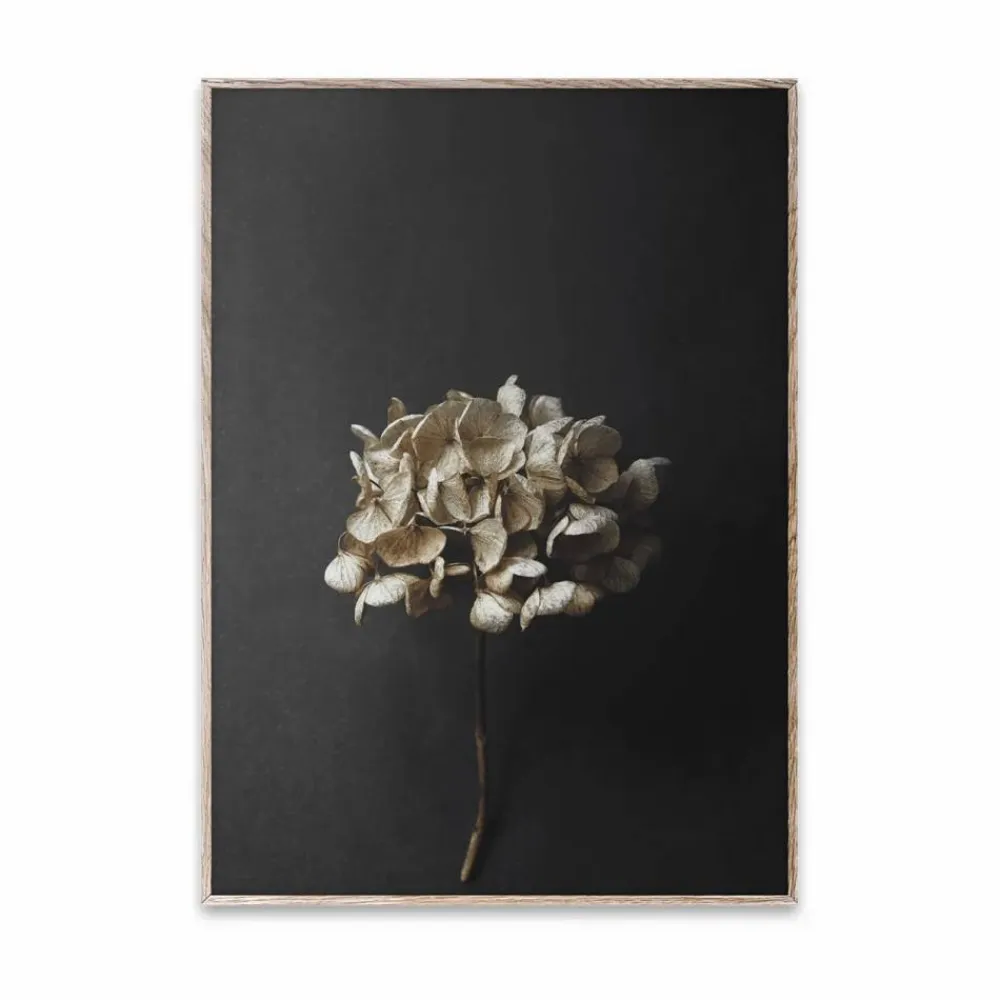 Online Paper Collective Still Life 04 Hydrangea poster 30x40 cm