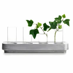 Born In Sweden Stumpastaken vas 4-pack Klar