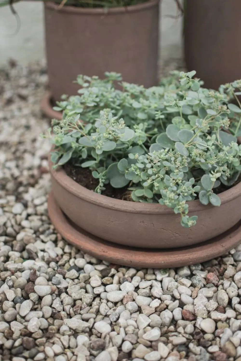 DBKD Terra bowl kruka Brown Ø30x10 5 cm