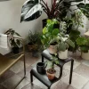 Clearance Ferm Living Up stegpall Black (svart)