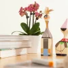 Vitra Wooden Dolls multi no. 1
